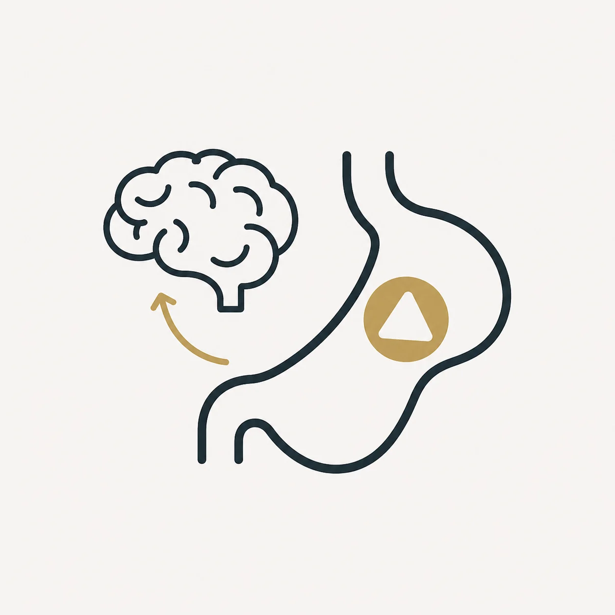 Señal de saciedad enviada al cerebro por la cápsula Epitomee
