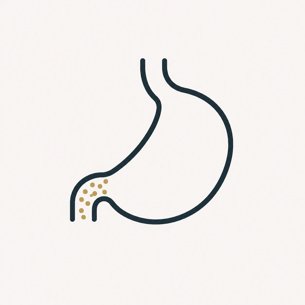 Eliminación natural de la cápsula Epitomee tras descomponerse en el intestino